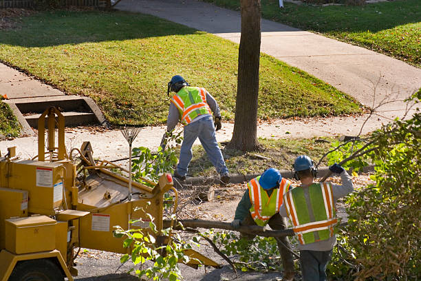 Best Landscape Design and Installation  in Avenel, NJ